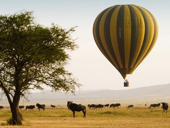 Serengeti Ulusal Parkı: Dawn&da Balon Safari